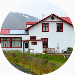 Mýrar í Dýrafirði
